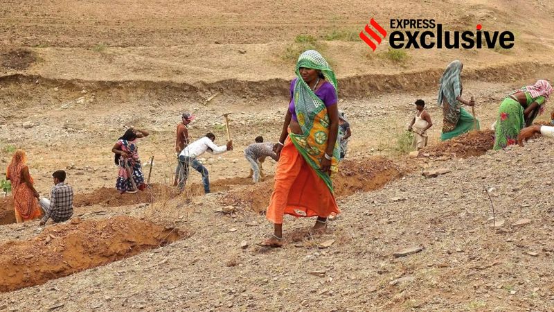 VB-G RAM G योजनेच्या पहिल्या महिन्यात ग्रामीण रोजगारात धक्कादायक 50% घट!